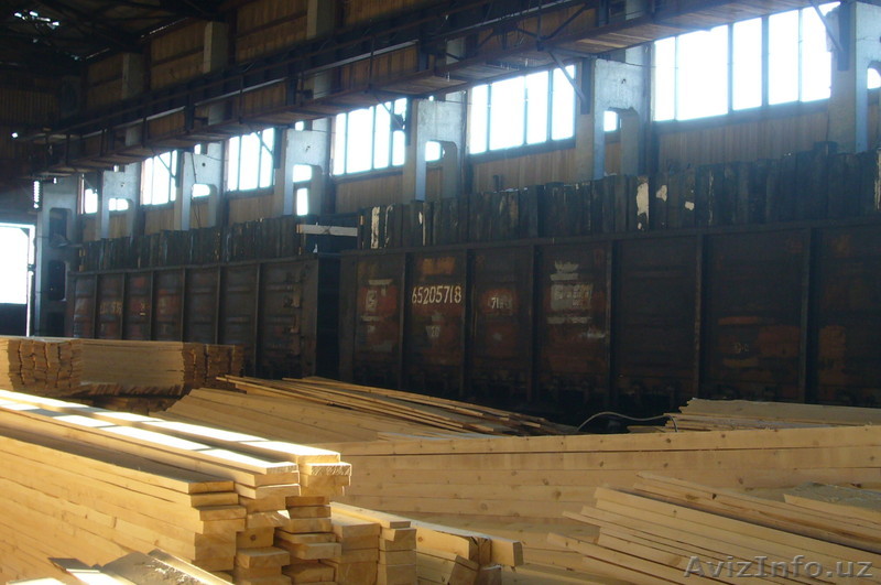 производим и поставляем на экспорт пиломатериал вагонными нормами из России - Изображение #1, Объявление #522789