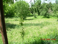 Дом в центре Нарпая 5 комнат.2 гаража, пристройки. - Изображение #2, Объявление #1170066