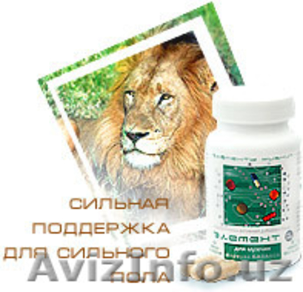 Российско-узбекский проект - Изображение #2, Объявление #3575